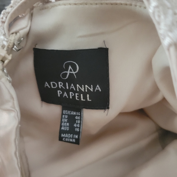 Adrianna PapellCap-Sleeve Illusion Lace Gown Size 14 - Picture 7 of 16